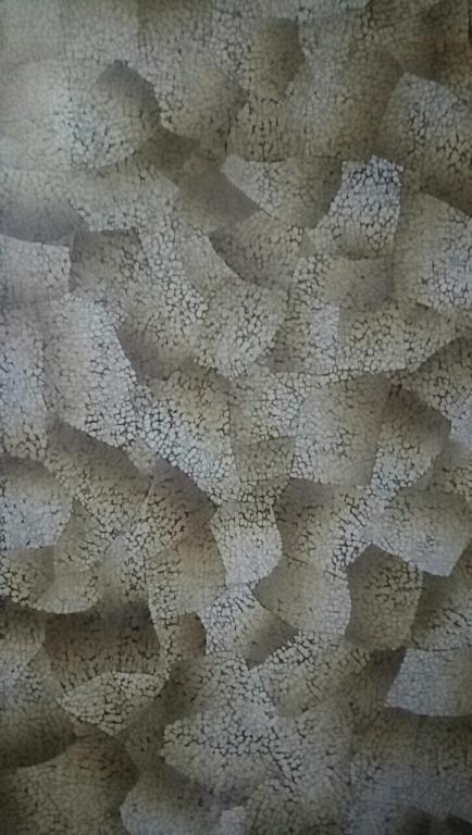 Cẩn vỏ trứng tại Bình Dương