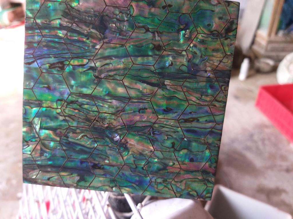 Xương Bào Ngư Xanh