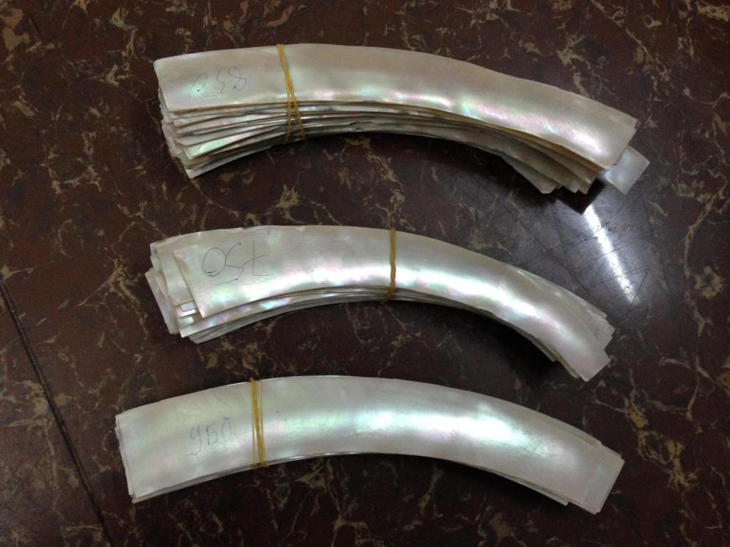 Các loại ốc dây