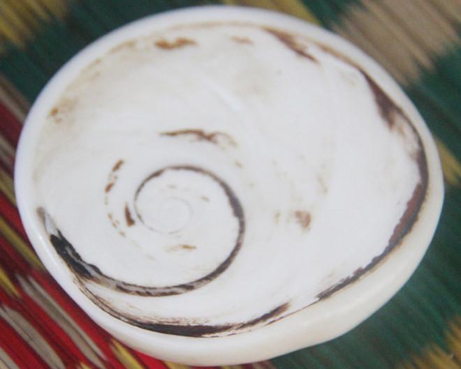 Vỏ ốc xà cừ có giá hàng chục triệu đồng ở Lý Sơn